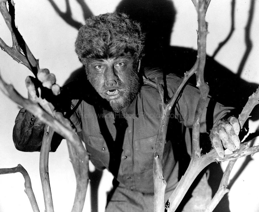 wolfman 41 2.jpg